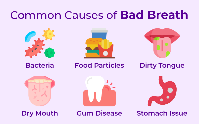 Why Your Breath Might Smell